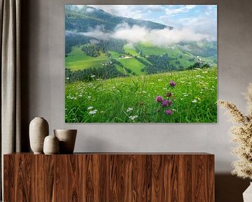 Zomerbloemenweide in de bergen van Tirol van Animaflora PicsStock