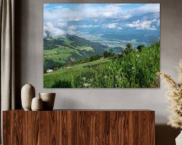 Prairie d'été dans les Alpes tyroliennes sur Animaflora PicsStock