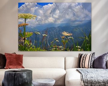 Flowers in the mountains by Thomas Heitz