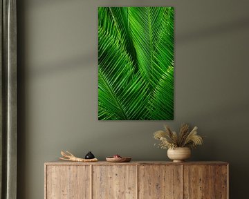 Palmbladeren zo ver het oog reikt van Candy Rothkegel / Bonbonfarben