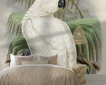 Native cockatoo, John Gould by Teylers Museum