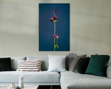 Don't Let Your Flower Hanging (blue) van michel meppelink