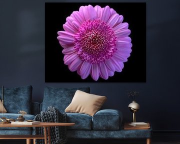 Flower power by Digital Art Studio