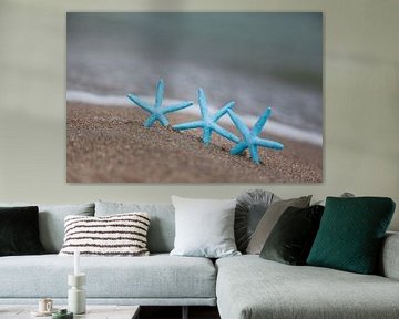 Trois étoiles de mer sur la plage sur PHOTOGENIQUE