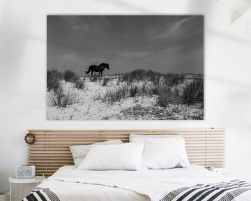 Ameland Paard in de duinen van Paul Veen