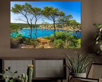 Portals Vells, baie avec des yachts et des bateaux au bord de la mer à Majorque, Espagne, îles Baléa sur Alex Winter