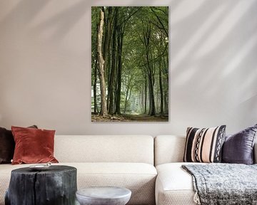 The dead tree in the Speulderbos by Jos Erkamp