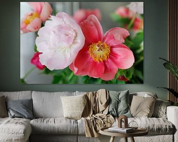 Peonies (flowers) different shades of pink. van Ans van Heck