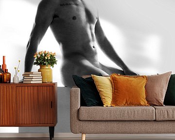 Mannelijk naakt van Matthew Verslype