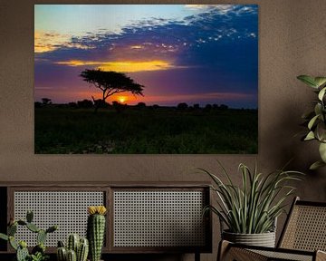 Sonnenuntergang im subsaharischen Tschad von Marion Raaijmakers