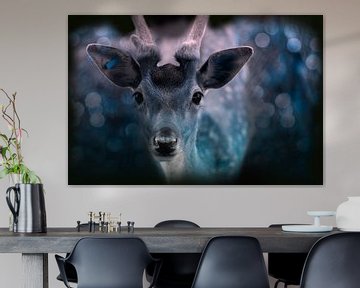 Oh deer... wat een mooie ogen van KB Design & Photography (Karen Brouwer)