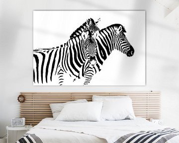 zebra sur Caroline Drijber