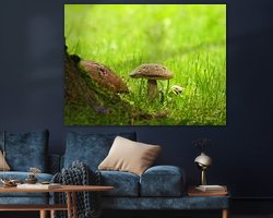 Aperçu de la chambre