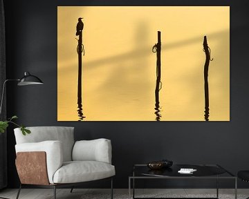 Cormorant silhouette on pole by Menno van Duijn