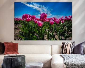 Roze tulpen bij blauwe lucht van Bart Verdijk
