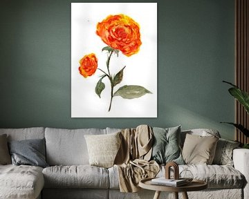 Orange roses by Sebastian Grafmann