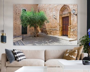Vue d'un vieil olivier dans un village méditerranéen sur Alex Winter