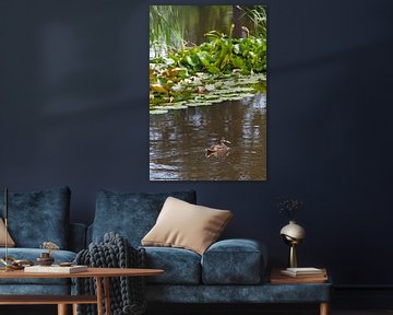 Duck pond with water lilies by t.ART