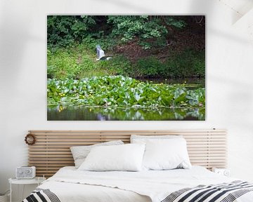Water lily pond with heron by t.ART