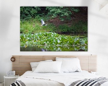 Waterlelie vijver met reiger van t.ART