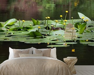 Idylle bij de eendenvijver van t.ART