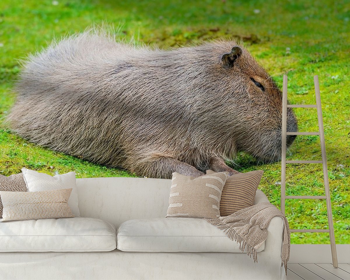 Raumvorschau