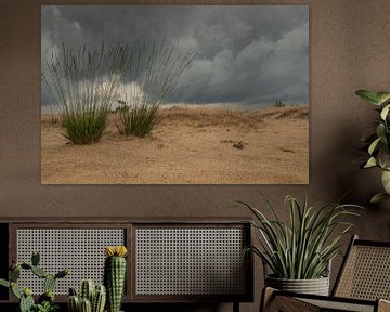 Ein drohendes Gewitter in den Dünen von Susan van Etten