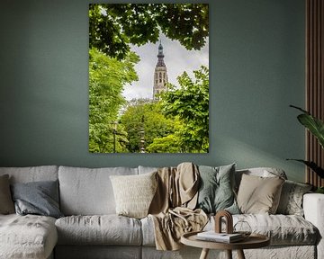 Breda, Grote Kerk in het groen