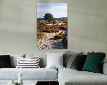 Autumn in the dunes of Schoorl by Rob Donders Beeldende kunst