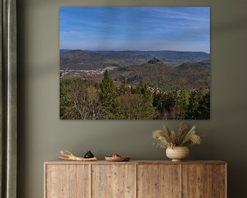 Panoramablick über den Pfälzer Wald von Timon Schneider