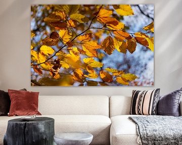 Herbst im Bergerbos von Rob Donders Beeldende kunst