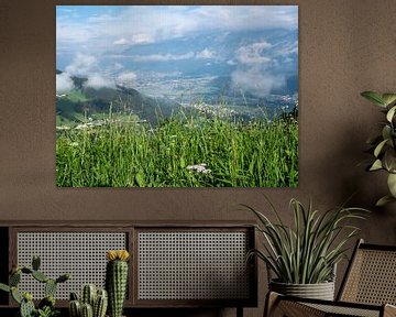 green flower meadow in the alps by Animaflora PicsStock