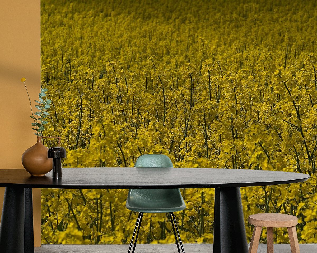 Raumvorschau