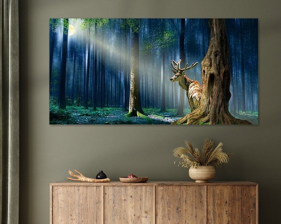 Aperçu de la chambre