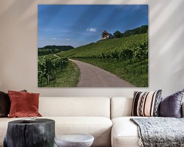 Through the vineyards of Abstatt by Timon Schneider