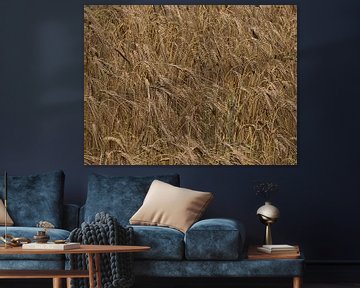 I Love Barley by Timon Schneider