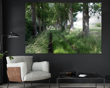De landweg van reivilo fotografie