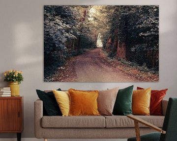 The forest pathway