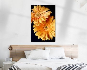 Gerberas impressionnistes sur Yvonne Smits