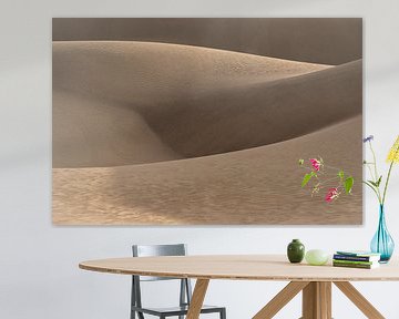 Goldene Dünen in der Wüste | Iran