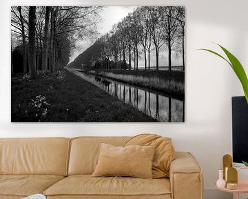 Bomen reflecteren in het water bij Sint-Laureins (België) - Zwart Wit