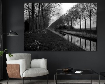 Sich im Wasser spiegelnde Bäume bei Sint-Laureins (Belgien) - Schwarz-Weiß