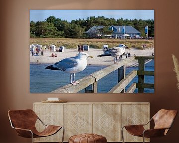 Baltic Sea - Seagulls on the pier Prerow by t.ART