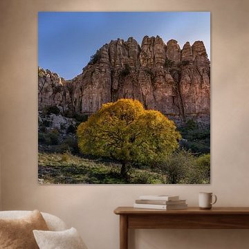 Torcal de Antequera, außergewöhnliche Felsformationen, Spanien.
