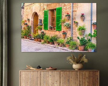 Majorque Espagne, rue des plantes dans le vieux village de Valldemossa sur Alex Winter