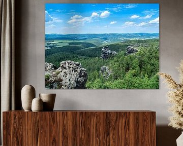 Blick über die Felsen des Elbsandsteingebirge von Animaflora PicsStock