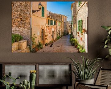 Romantische straat in het oude dorp van Valldemossa op het eiland Mallorca, Spanje van Alex Winter
