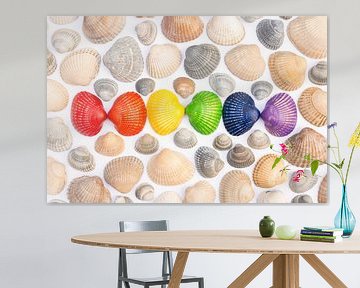 Muscheln in den Farben der Regenbogenflagge von Lisette Rijkers