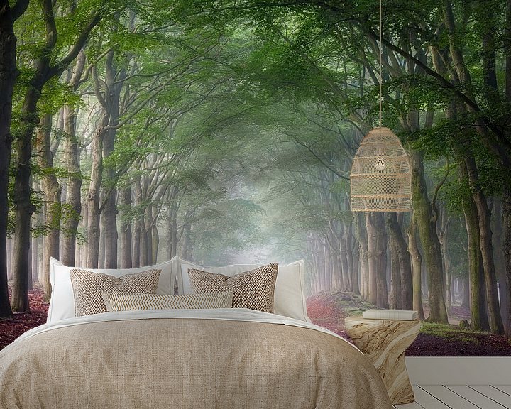 Sfeerimpressie behang: Mistige ochtend in het bos op Planken Wambuis (Veluwe) van Patrick van Os