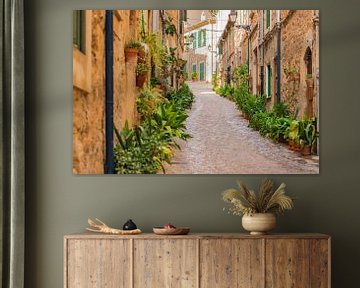Rue avec des plantes en pot typiques à Valldemossa, Espagne Îles Baléares sur Alex Winter